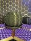 Preview: 3D Pflanzenkübel Moderner Designer-Pflanzentopf, Farbe: Gold-Schwar
